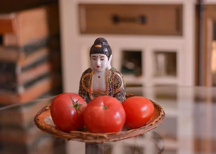 Sirbi House 别墅 塔林